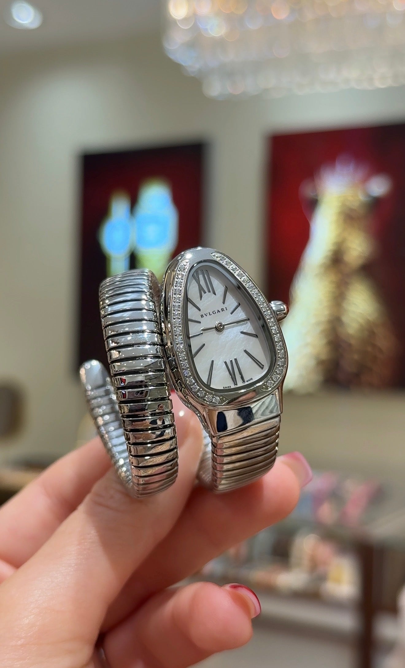 BVLG SERPENTI
