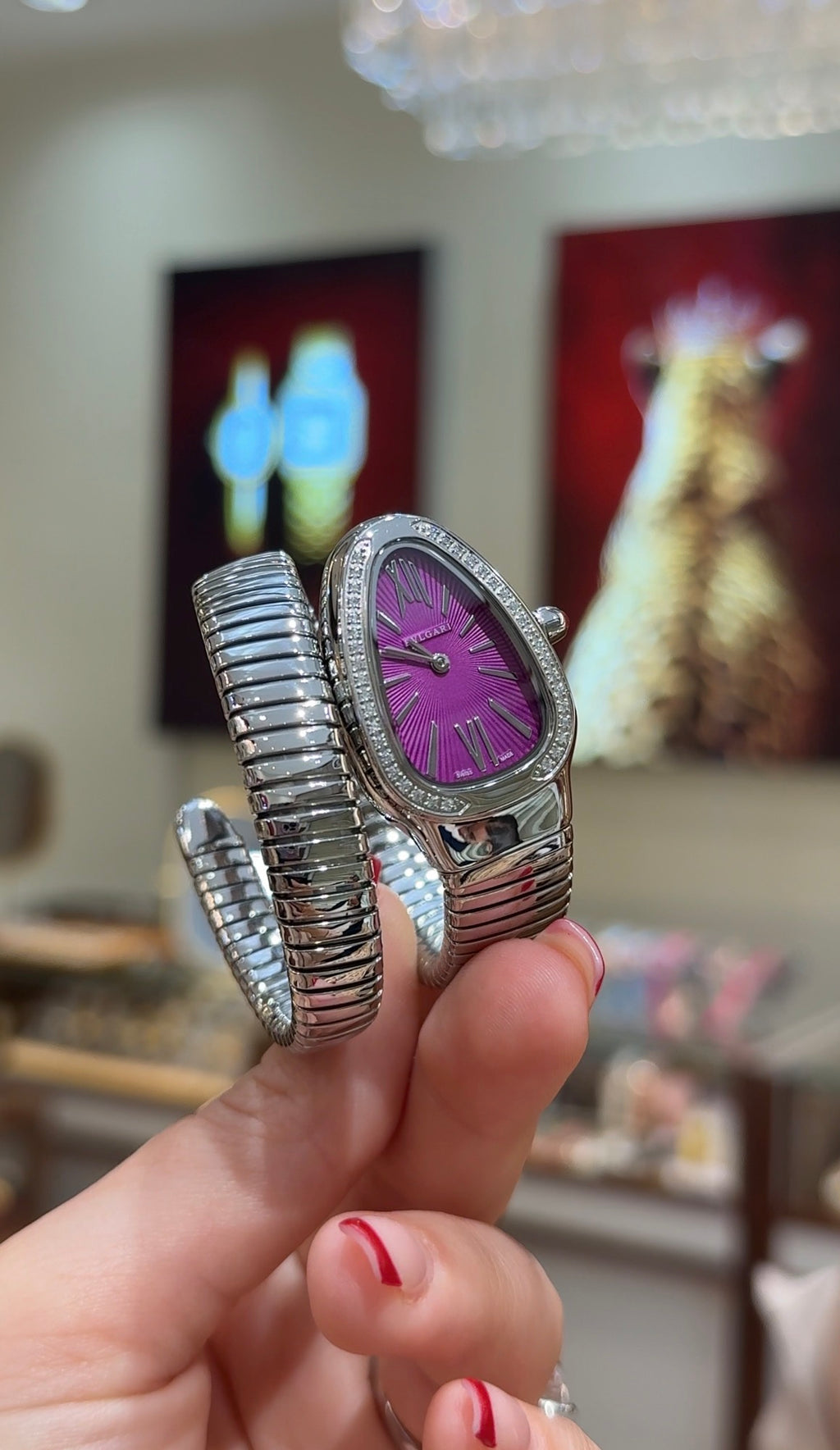 BVLG SERPENTI